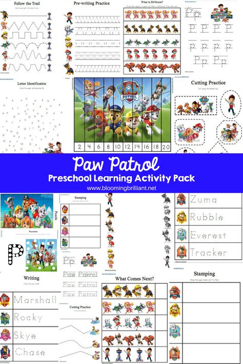 Paw Patrol Preschool Printables, Paw Patrol Learning Printables, Paw Patrol Learning Activities, Paw Patrol Worksheets Free Printables, Paw Patrol Activities For Toddlers, Paw Patrol Preschool Activities, Paw Patrol Worksheets, Paw Patrol Games, Paw Patrol Printables