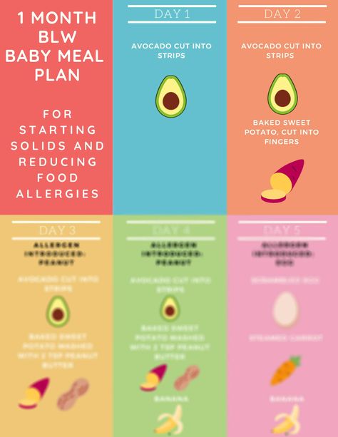 Blw Dinner Ideas 6 Months, Weaning Plan, Led Weaning Recipes, Baby Meal Plan, Baby Led Weaning Breakfast, Starting Solids Baby, Blw Recipes, Weaning Foods, Common Food Allergies