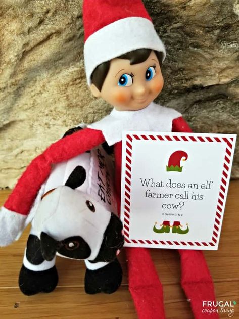 Elf on the Shelf Cow Joke for Kids. Funny Elf on the Shelf Jokes. Print 30 days of fun Elf on the Shelf Jokes for Kids. Never run out of Scout Elf ideas with these Christmas jokes cards printables. Use with your Elf on a Shelf doll or as lunchbox notes or silly jokes for Christmas. #FrugalCouponLiving #ElfontheShelf #ElfontheShelfIdeas #ElfIdeas #funnyelfideas #funnyelfontheshelf #elfprintables #printables #freeprintables #ElfonaShelf #kidsjokes #jokesforkids Elf On The Shelf Jokes, Clean Jokes For Kids, Elf Jokes, Cinderella Gifts, Christmas Jokes For Kids, Elf Idea, Elf Printables, Funny Elf On The Shelf, Lunchbox Jokes