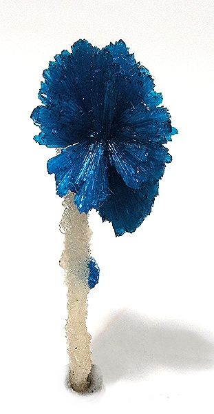 Cavansite flower on Quartz from Jalgaon, Maharashtra, India Esmod Paris, Magic Faraway Tree, The Magic Faraway Tree, Faraway Tree, Rock Minerals, Pretty Rocks, Beautiful Rocks, Mineral Stone, Minerals And Gemstones