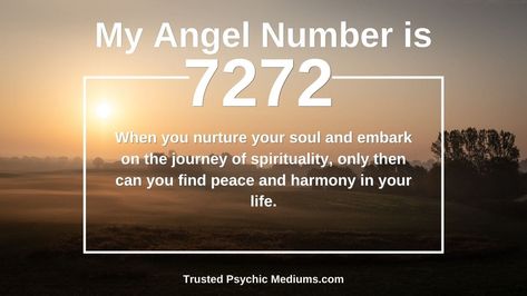 If you witness the presence of angel number 7272 lately everywhere you go, consider yourself lucky and have feelings of gratitude towards the Universe. The number sequence 7272 doesn’t just pop up out of nowhere randomly. 

Read more at: https://trustedpsychicmediums.com/angel-numbers/angel-number-7272-is-a-true-power-number-discover-why/ 7272 Angel Number Meaning, Number Sequence, Angel Number Meanings, Alphabet Fonts, Number Meanings, Peace And Harmony, Angel Number, Angel Numbers, Finding Peace