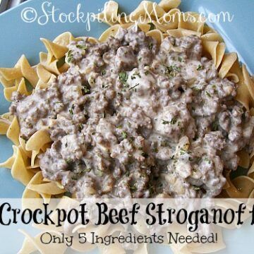 Stroganoff Crockpot, Crock Pot Stroganoff, Beef Stroganof, Beef Crockpot, Summer Crockpot, Beef Stroganoff Crockpot, Beef Stroganoff Easy, Ground Beef Stroganoff, Chicken Crockpot