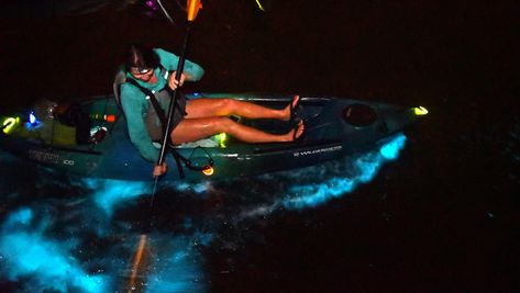 What are ‘bioluminescent beaches’ and where can I find them in Florida? Indian River Lagoon, Restaurant Advertising, Merritt Island, Treasure Coast, Indian River, Visit Florida, Nature Preserve, Central Florida, Backyards