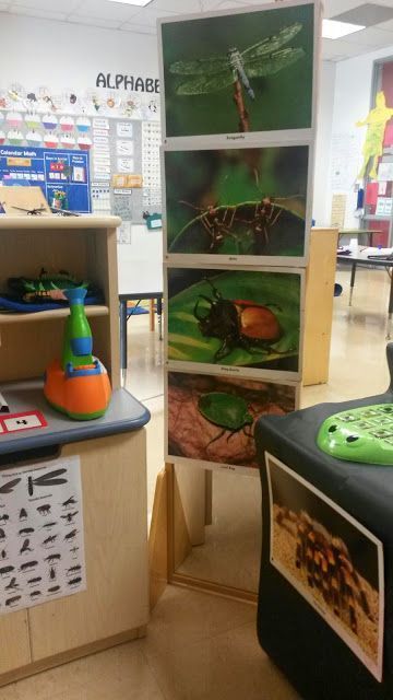 Turning dramatic play into an Entomologist Lab! (bug/insect study) Science Center Preschool, Insect Study, Dramatic Play Themes, Insects Preschool, Bugs Preschool, Dramatic Play Preschool, Dramatic Play Area, Preschool Units, Insects Theme