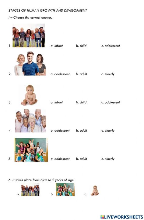 Stages Of Human Development, Human Growth And Development, States Of Matter Worksheet, Excretory System, Vertebrates And Invertebrates, Living And Nonliving, Matter Worksheets, Female Reproductive System, States Of Matter