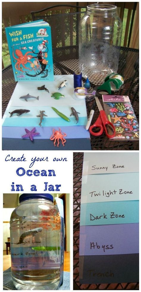 This is a cool way to learn about which animals live where in the ocean. I would do this with Kindergarten or First grade. Ocean Habitat Project, Ocean Activities Preschool, Habitat Project, Ocean Zones, Camp Projects, Habitats Projects, Ocean Habitat, Ocean Projects, Summer Camp Activities