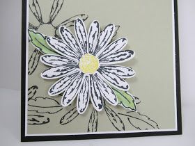 Personally Yours: Stampin' Up! Daisy Delight Stamp Set and Punch Pops on Sahara Sand Stampin Up Daisy Delight, Daisy Delight Stampin' Up, Rubber Stamping Cards, Stampin Up Card, Stamping Projects, Daisy Cards, Stamp Projects, Spring Cards, Flower Stamp