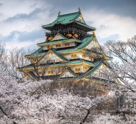 Osaka Castle, Japan / Agustin Rafael Reyes Japan Architecture, Japanese Castle, Osaka Castle, Sapporo, Naha, Bhutan, Hiroshima, Nagoya, Fukuoka