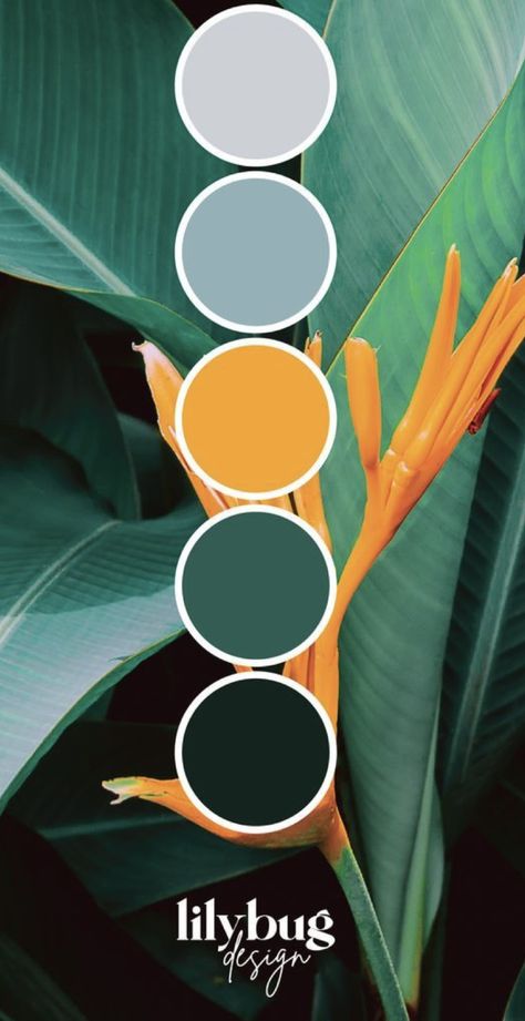 Birds Of Paradise Color Palette, Bird Colour Palette, Jungle Color Palette Tropical, Bird Of Paradise Color Palette, 3 Color Color Palette, Tropical Color Palette Colour Schemes, Adventurous Color Palette, Jungle Colour Palette, Nature Palette Color