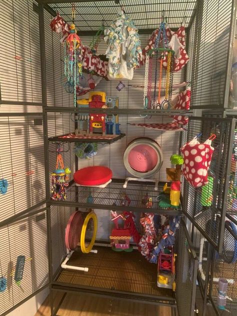 Cage Setup – Sugar Glider Guardians Diy Sugar Glider Cage, Sugar Glider Cage Ideas, Sugar Glider Pet, Sugar Glider Cage, Sugar Glider Toys, Sugar Gliders, Pet 1, Sugar Glider, Pet Cage