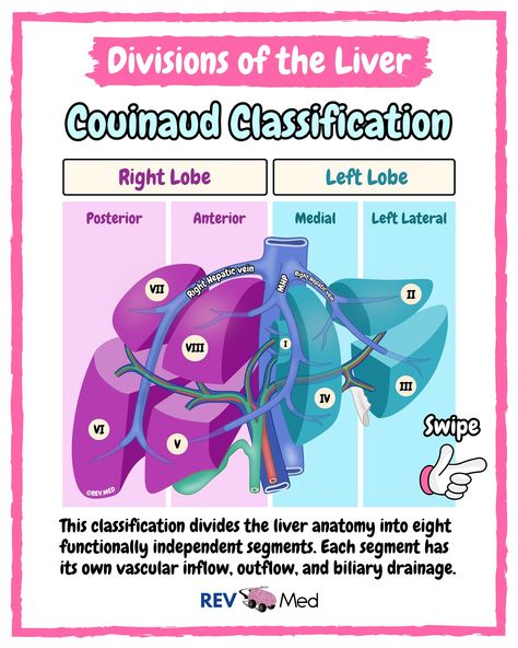 Swipe through this post and see the segmentation of the Liver - read more below! Never regard studying as a duty, but as the enviable opportunity to learn. -Einstein. Keep at it and follow along with us 👉🏼 @rev.med ✅ Couinaud Classification This classification divides the liver anatomy into 8 functionally independent segments. Each segment has its own vascular inflow, outflow, and biliary drainage. *In the center of each segment there is a branch of the portal vein, hepatic artery, and bi... Liver Segments, Liver Anatomy, The Portal, The Liver, Medical Center, Einstein, Surgery, Anatomy, Nursing