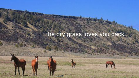 Grass Quotes, It Gets Better, It Goes On, I Don T Know, Love Life, Pretty Words, Pretty Quotes, Poetry, Affirmations