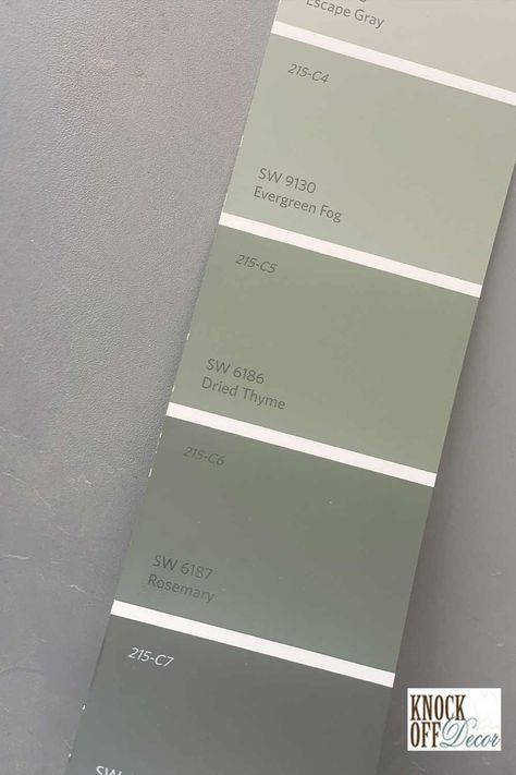 Sw Dried Thyme Vs Rosemary, Sw Rosemary Color Palette, Sw Frosted Fern, Sherwin Williams Rosemary Color Palette, Sw Rosemary Paint, Sw Rosemary Cabinets, Rosemary Color Palette, Rosemary Sherwin Williams, Sw Rosemary