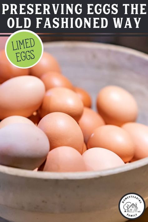 Glassing Eggs, Lime Eggs, Preserve Eggs, Preserving Eggs, Food Grade Buckets, Storing Eggs, Canned Food Storage, Egg Production, Egg Storage