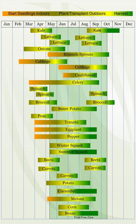 Gardening Benefits, Vegetable Planting Calendar, Plantarea Legumelor, Seedlings Indoors, Indoor Vegetables, Planting Calendar, Indoor Vegetable Gardening, Survival Gardening, Have Inspiration