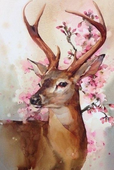 Deer Drawing, Deer Painting, Deer Art, Charcoal Drawings, Art Et Illustration, Oh Deer, Arte Animal, A Deer, Watercolor Animals