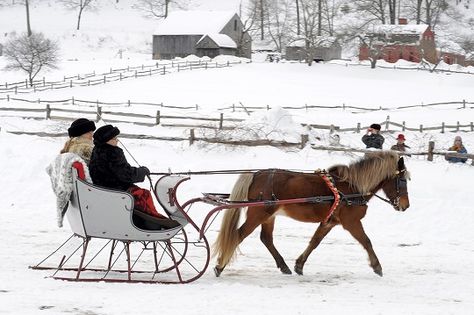 Horse Driving, Antique Sleigh, Horse Drawn Sleigh, Sturbridge Village, One Horse Open Sleigh, Horse Cart, Sleigh Rides, Carriage Driving, Welsh Pony