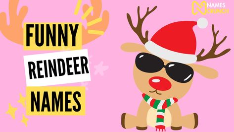 "A festive array of playful and humorous reindeer names under the theme 'Jingle All The Way With', perfect for holiday enthusiasts and those seeking a sprinkle of Christmas joy." Funny Reindeer, Reindeer Names, Funny Names, Name Ideas, The North Pole, Pop Culture References, Jingle All The Way, Boy And Girl, North Pole