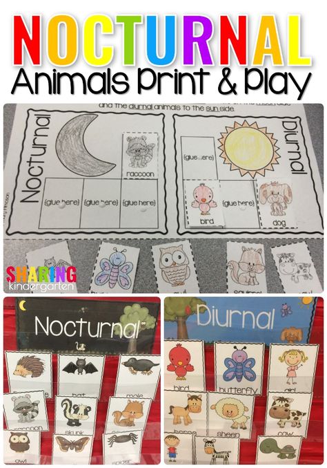 Nocturnal Print & Play Pack Nocturnal Animals Preschool Activities, Animals Activities For Kindergarten, Nocturnal Animals Kindergarten, Nocturnal Animals Preschool, Science For Kindergarten, Nocturnal Animals Activities, Hibernation Crafts, Animals Kindergarten, Preschool Animals