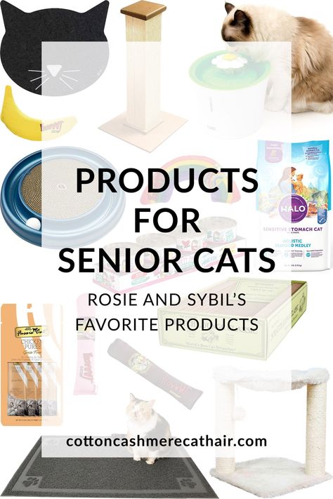 Senior cats are the best! My two senior cats, Rosie and Sybil, are absolutely spoiled—as they should be. I rounded up their (and my) favorite products for senior cats. You can purchases these toys, scratchers, gadgets, and more for senior cats from Amazon, Chewy, and other major retailers. Senior Cats, Senior Cat Food, Enclosure Ideas, Cool Cat Toys, Cat Entertainment, Kitten Beds, Cat Pad, Canned Cat Food, Cute Cat Face