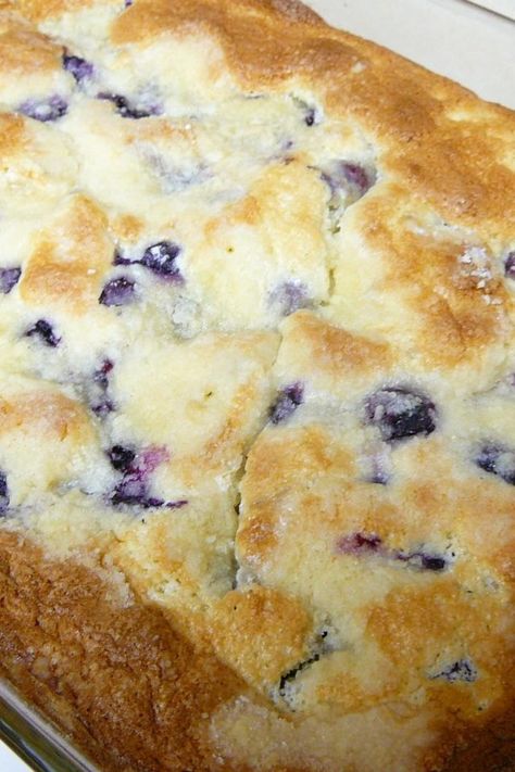 Blueberry Boy Bait | "Delicious coffeecake. Similar to a blueberry buckle yet has its own unique twist. Recipe dates back to the 1920's. Fresh, frozen or canned blueberries may be used, but be sure to drain them first." #allrecipes #dessertrecipes #dessertideas #dessertdishes #dessertinspiration #sweettreats Blueberry Boy Bait Recipe, Chocolate Chip Cake Recipe, Blueberry Buckle, Banana Bread Loaf, Canned Blueberries, Chocolate Chip Cake, Light Cakes, Salty Cake, Blueberry Recipes