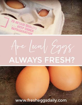 You Can't Fake Fresh | Are Local Eggs Always All They're Cracked up to Be? - Fresh Eggs Daily® Creative Egg Recipes, Low Estrogen Symptoms, Low Estrogen, Boiled Egg Diet, Storage Tips, Egg Storage, Chicken Coop Plans, Egg Diet, Baking Soda Shampoo