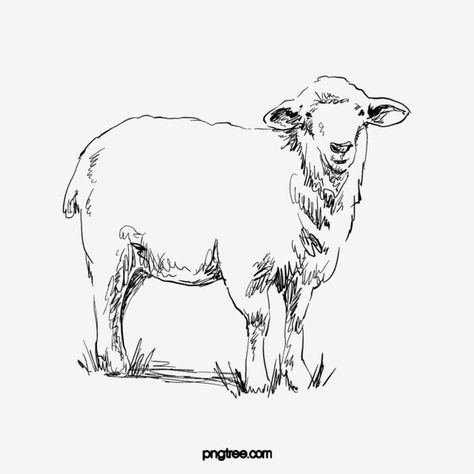 Sheep Sketch Drawings, Sheep Line Drawing, Black Sheep Drawing, Sheep Puppet, Line Drawing Animal, Drawing Sheep, Sheep Sketch, Lamb Drawing, Black Line Drawing