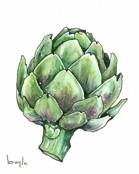 Succulent Drawing, Succulents Drawing, Veggie Art, Vegetable Painting, Flower Drawing Tutorials, Watercolor Food, Watercolor Fruit, Watercolor Lessons, Fruit Painting