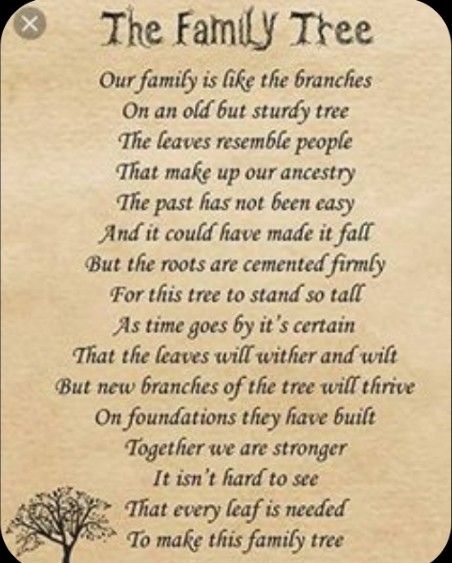 Poems About Family Love, Family Tree Quotes, Genealogy Quotes, In Loving Memory Quotes, Prayers Of Encouragement, Easy Love Spells, Family Poems, Family History Book, Sympathy Quotes