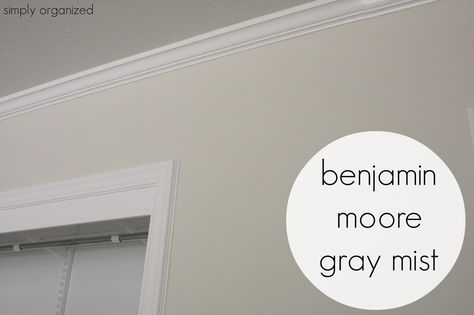 Benjamin Moore Gray Mist, Interior Paint Color, Interior Painting Ideas, Inexpensive Living Room, Simply Organized, Benjamin Moore Gray, Painting Colors, Gray Walls, Interior Painting