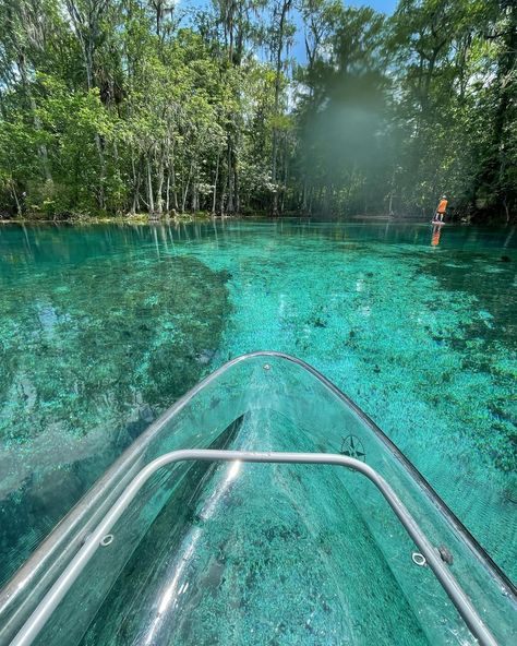 Clear kayak through beautiful crystal clear springs this Spring Break! ✨🛶 #SilverSprings #SpringBreak #SpringsBreak #Florida Crystal Kayak, Clear Kayak, Guard House, Clear Spring, Silver Springs, Kayak Tours, Spring Break, Crystal Clear, Kayaking