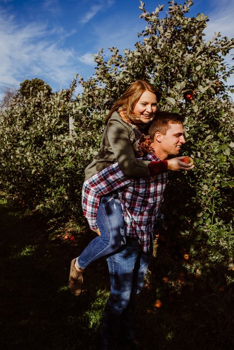 Apple Picking Couple Pictures, Apple Picking Couple, Apple Orchard Photoshoot, Orchard Photoshoot, Fall Orchard, Horse Fence, Car Outfit, Fall Minis, Apple Hill