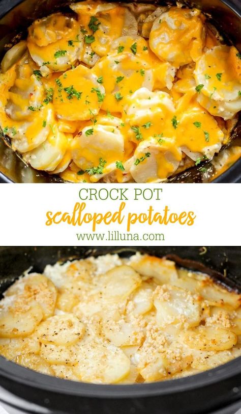 Creamy Crock Pot Scalloped Potatoes are a great side to any meal. You only need a few ingredients and the slow cooker! #crockpot #slowcooker #scallopedpotatoes #potatoes #sidedish Crockpot Recipes For Potatoes, Crock Pot Cheesy Scalloped Potatoes, Crock Pot Potatoes Recipes, Crockpot Au Gratin Potatoes, Crockpot Potato Recipes, Crockpot Vegetables, Crock Pot Scalloped Potatoes, Crockpot Scalloped Potatoes, Crockpot Sides