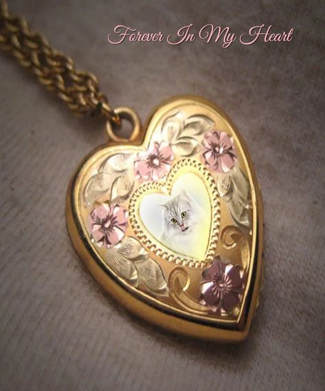 Vintage Jewelry 1920, Gold Heart Locket Necklace, Locket Necklace Vintage, Gold Heart Locket, Vintage Wedding Jewelry, Gold C, Jewelry Heart, Heart Locket Necklace, Fantasy Closet