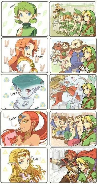 Link's harem Legend Of Zelda Memes, Zelda Funny, Hyrule Warriors, Link Zelda, Zelda Art, Legend Of Zelda Breath, Ocarina Of Time, Nintendo Game, Twilight Princess