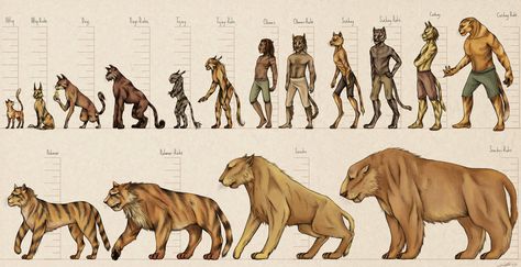 khajiit breeds Elder Scrolls 6, Tes Skyrim, Elder Scrolls Lore, Scrolls Game, Elder Scrolls Games, Elder Scrolls Art, Elder Scrolls Online, Fantasy Races, The Elder Scrolls