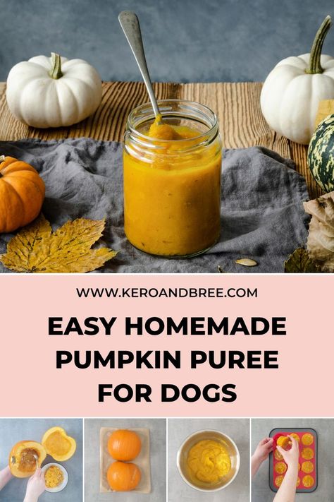 The top main image is a glass jar of pumpkin puree with a spoon in it which is surrounded by pumpkins and a leaf. The title reads, "easy homemade pumpkin puree for dogs". The bottom image shows four steps from the recipe. Pumpkin For Dogs, Can Dogs Eat Pumpkin, Making Pumpkin Puree, Make Pumpkin Puree, Cook Pumpkin, Frozen Dog Treats Homemade, Pumpkin Puree Recipes, Frozen Dog Treats, Cooking Pumpkin