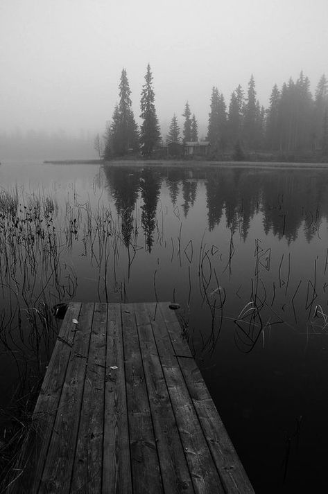 Bath Photography, Wooded Landscaping, Lake Photography, White Lake, Black And White Landscape, Lake Landscape, Forest Landscape, Black And White Aesthetic, Black And White Pictures