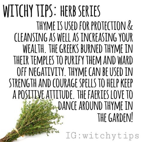 189 Likes, 6 Comments - ✨ Witchy Tips ✨ (@witchytips) on Instagram: “Thymus Vulgaris, known as common thyme, is a flowering plant in the mint family. It is used in…” Healing Rituals, Thymus Vulgaris, Witch Tips, Magickal Herbs, Witchy Tips, Witch Herbs, Broom Closet, Witch Stuff, Magic Herbs