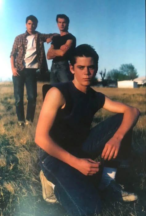 Outsiders Pictures, The Curtis Brothers, Curtis Brothers, Outsiders Ponyboy, The Outsiders Ponyboy, The Greasers, Ralph Macchio The Outsiders, Tommy Howell, Outsiders Imagines