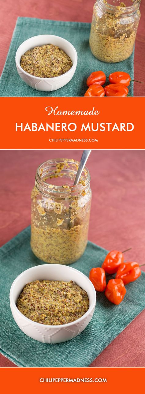 What To Do With Habenaros, Habanero Mustard Recipe, Hot Pepper Mustard Canning, Homemade Dijon Mustard Easy, Chilli Oil Recipe, Fermented Mango Habanero Hot Sauce, Fermented Pineapple Habanero Hot Sauce, Habanero Recipes, Hot Mustard