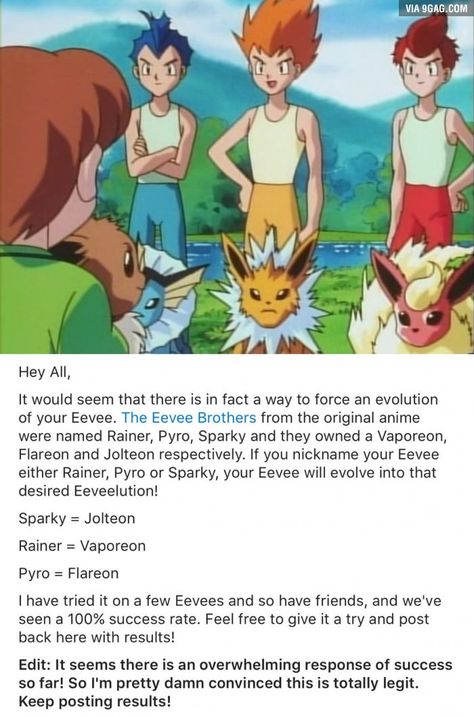 Eevee evolutions Pokemon Go (it truly works, try it) Pokemon Theory, Pokemon Go Team Mystic, Team Valor, Team Mystic, Team Instinct, Gotta Catch Them All, Eevee Evolutions, Play Pokemon, Pokemon Memes