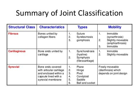 Joint classification table Classification Of Joints, Types Of Joints Anatomy, Joints Anatomy Notes, Radiology Anatomy, Radiology Schools, Joints Anatomy, Medical Terminology Study, Anatomy Education, Medical Assistant Student