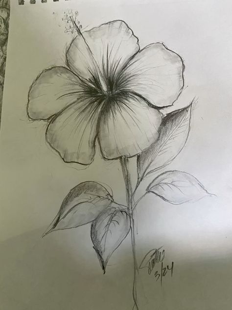 Flower Drawing Ideas Creative, Draw Me A Flower Trend, Drawing Ideas Realistic Pencil, Drawing Ideas Flowers Beautiful, Drawing Inspo Flowers, Flower Inspo Drawing, Drawing Ideas Easy Flowers Simple, Flowers Aesthetic Sketch, Drawing Reference Flowers