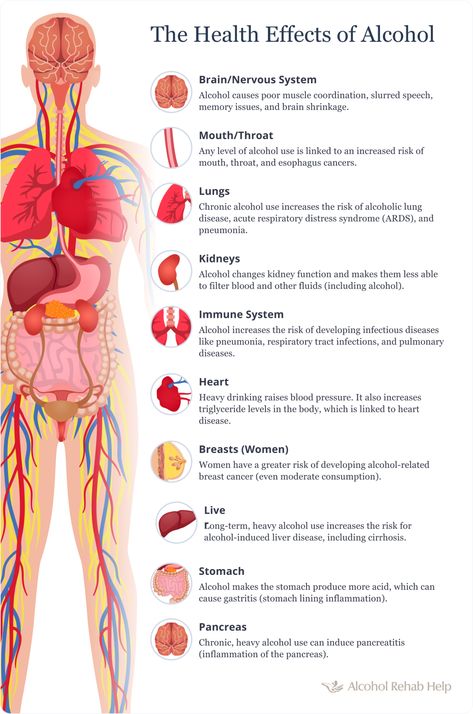 Alcohol Effects On Body, Effects Of Drinking Alcohol, Dangers Of Alcohol, Alcohol Side Effects, Types Of Alcohol, Pasti Fit, Alcohol Facts, Alcohol Awareness, Alcohol Poisoning