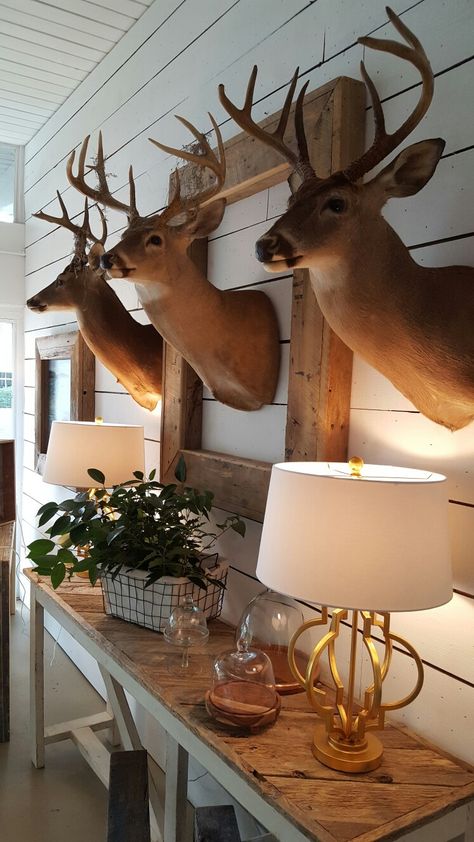 Interior Design With Deer Heads, Classy Deer Head Decor, Framed Deer Head, Gallery Wall With Deer Mount, Decorating With Deer Heads, Deer Mount Ideas Decor Living Rooms, Buck Mounts Ideas, How To Decorate With Deer Mounts, Deer Mount Decor Family Rooms