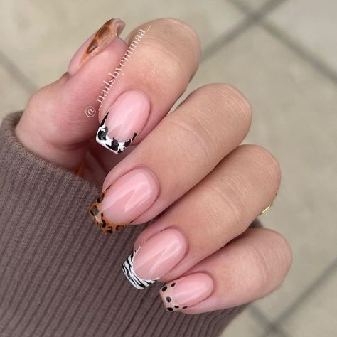 7 Inspiring Ideas for Modern French Manicures Uñas Animal Print, Nail Routine, French Manicures, French Manicure Designs, Latest Nail Trends, Classic French Manicure, Modern French, Coat Paint, Animal Nails