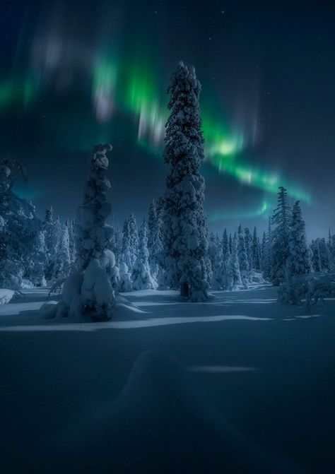 See the Stunning Winners of the Northern Lights Photographer of the Year Competition Northern Lights Photo, Northern Lights Photography, Aurora Lights, Aurora Australis, Lapland Finland, Aurora Borealis Northern Lights, Tromso, The Northern Lights, Midnight Sun