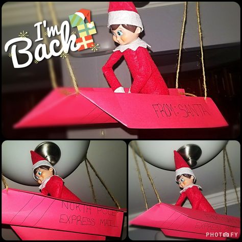 Guess who's back? Guess who's back? Guess who's back? Guess who's back?  Yes I'm back. Thomas the Elf is Back!  #thomastheelf #elfontheshelf #returnoftheelf #day1 Elf Is Back, Elf On The Shelf Arrival, On The Shelf, The Elf, Elf On The Shelf, Elf, Shelves, Holiday Decor, Quick Saves