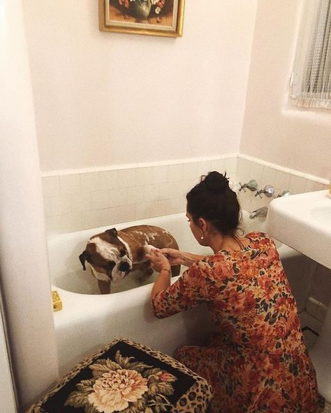 with the paw massage Pia Arrobio, Shag Rug, Boston Terrier, Massage, My Style, On Instagram, Instagram